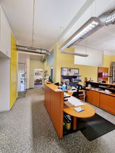 Gallerie Vorschau-Bild