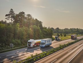 Gallerie Vorschau-Bild