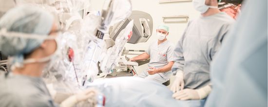 Gallerie Vorschau-Bild