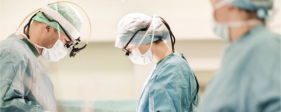 Gallerie Vorschau-Bild