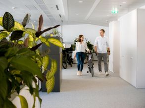Gallerie Vorschau-Bild