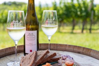 Gallerie Vorschau-Bild