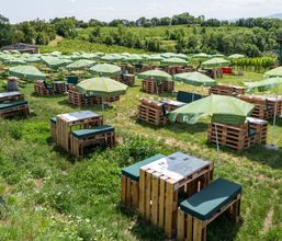 Gallerie Vorschau-Bild