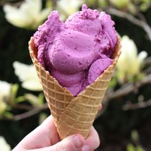 Gallerie Vorschau-Bild