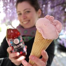 Gallerie Vorschau-Bild