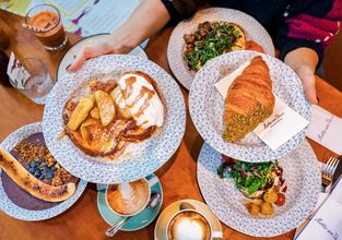 Gallerie Vorschau-Bild