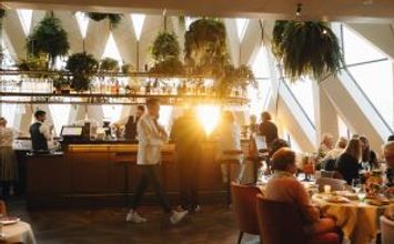 Gallerie Vorschau-Bild