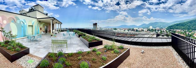 Gallerie Vorschau-Bild