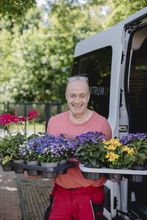 Gallerie Vorschau-Bild