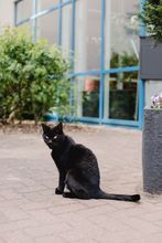 Gallerie Vorschau-Bild