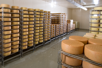 Gallerie Vorschau-Bild