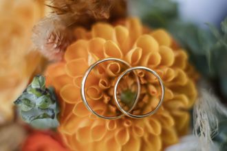 Gallerie Vorschau-Bild