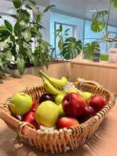 Gallerie Vorschau-Bild