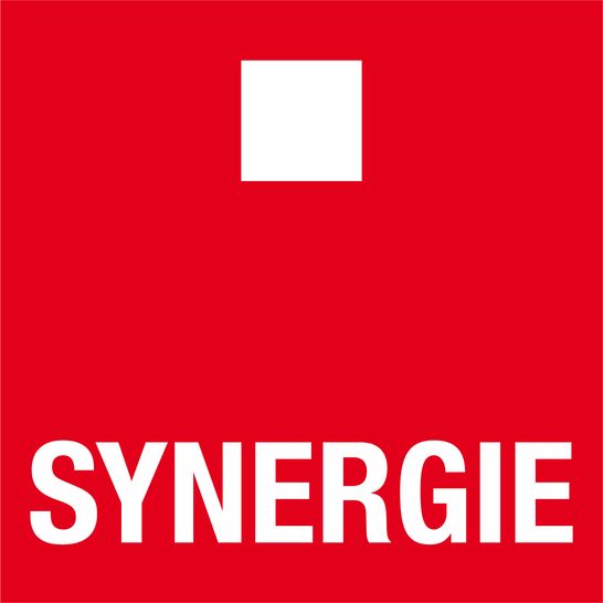 Logo von Synergie Personal Austria GmbH