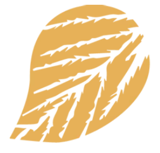 Logo von Das Kurhaus Bad Gleichenberg GmbH