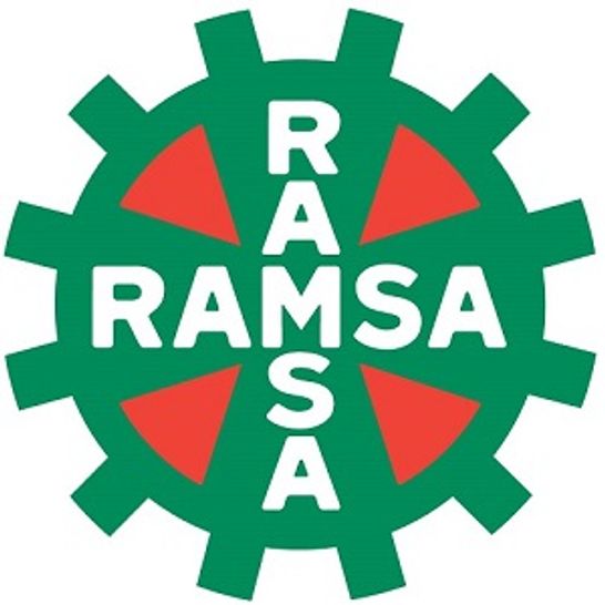 Logo von RAMSA Wolf GesmbH