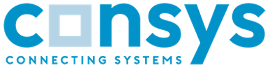 Logo von consys GmbH