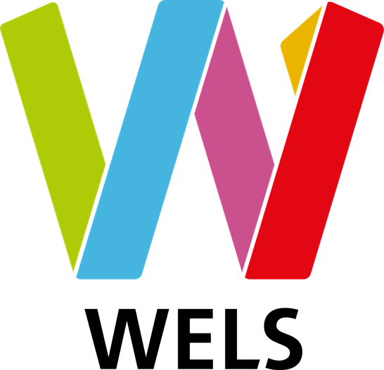 Logo von Stadt Wels