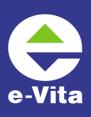 Logistik Consulting GmbH