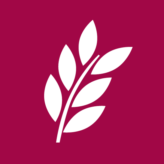 Logo von Privat Bäckerei Wimmer GmbH & Co. KG