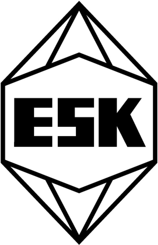 Logo von ESK-SIC GmbH