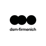 DSM Austria GmbH