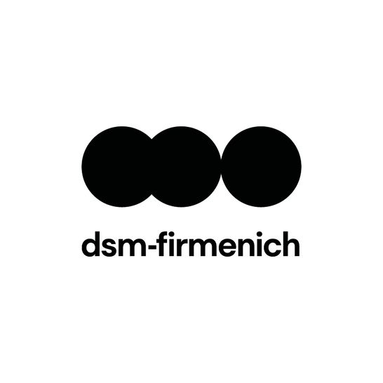 Logo von DSM Austria GmbH