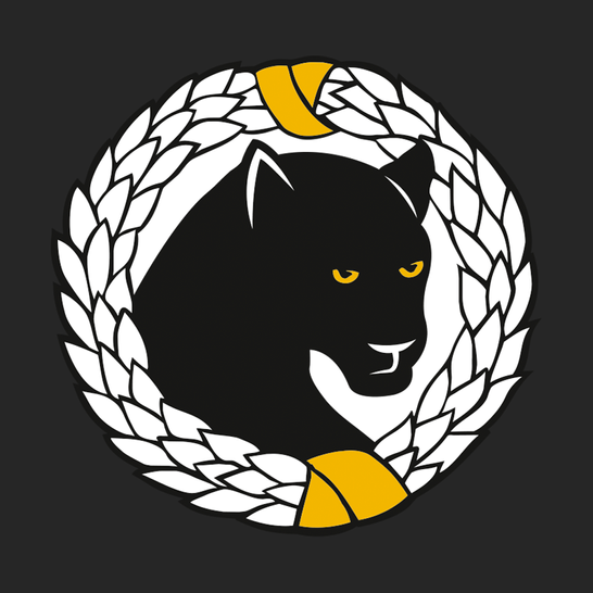 Logo von REIFENHAUS THOMAS PLANKENAUER Gesellschaft m.b.H.