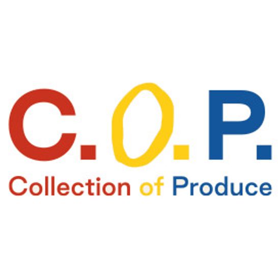 Logo von C.O.P GmbH