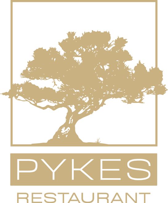 Logo von Pykes GmbH
