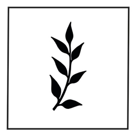 Logo von Walter Piller e.U.
