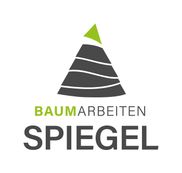 Baumarbeiten Spiegel