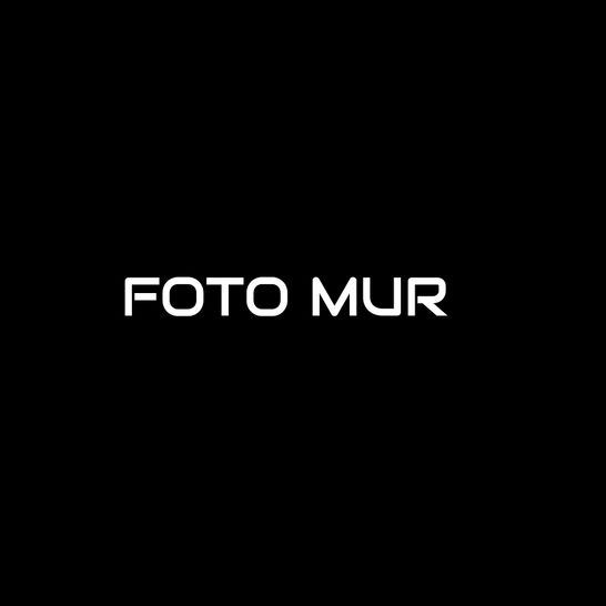 Logo von FOTO MUR