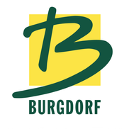 Firmenlogo Stadt Burgdorf