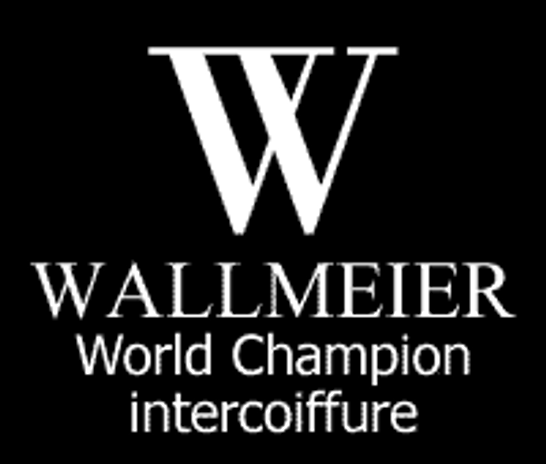 Logo von Hairdesign by Wallmeier