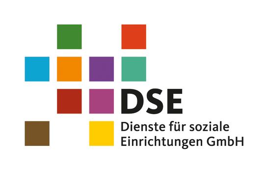 Logo von DSE - Dienste für soziale Einrichtungen GmbH