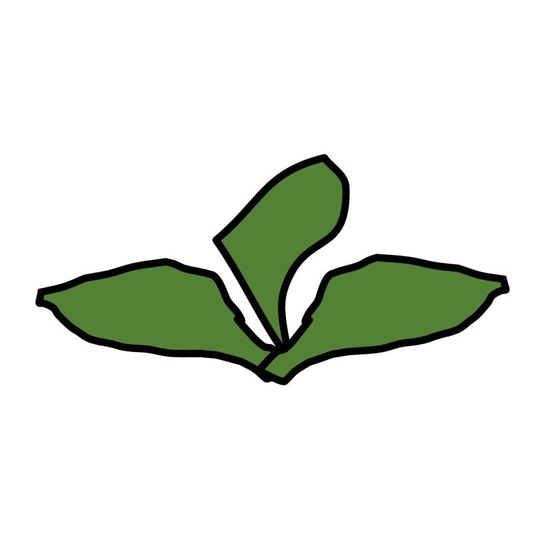 Logo von Weidenauer Jungpflanzen GmbH