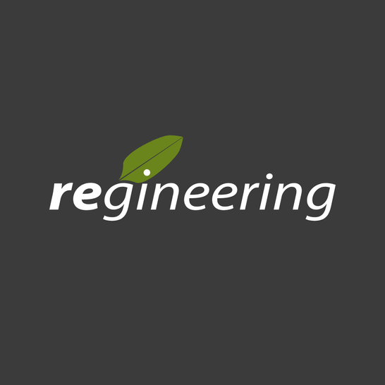 Logo von regineering GmbH