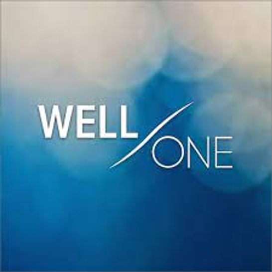 Logo von Well One GmbH
