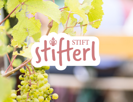 Logo von Stiftstifterl.at