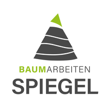 Georg Spiegel